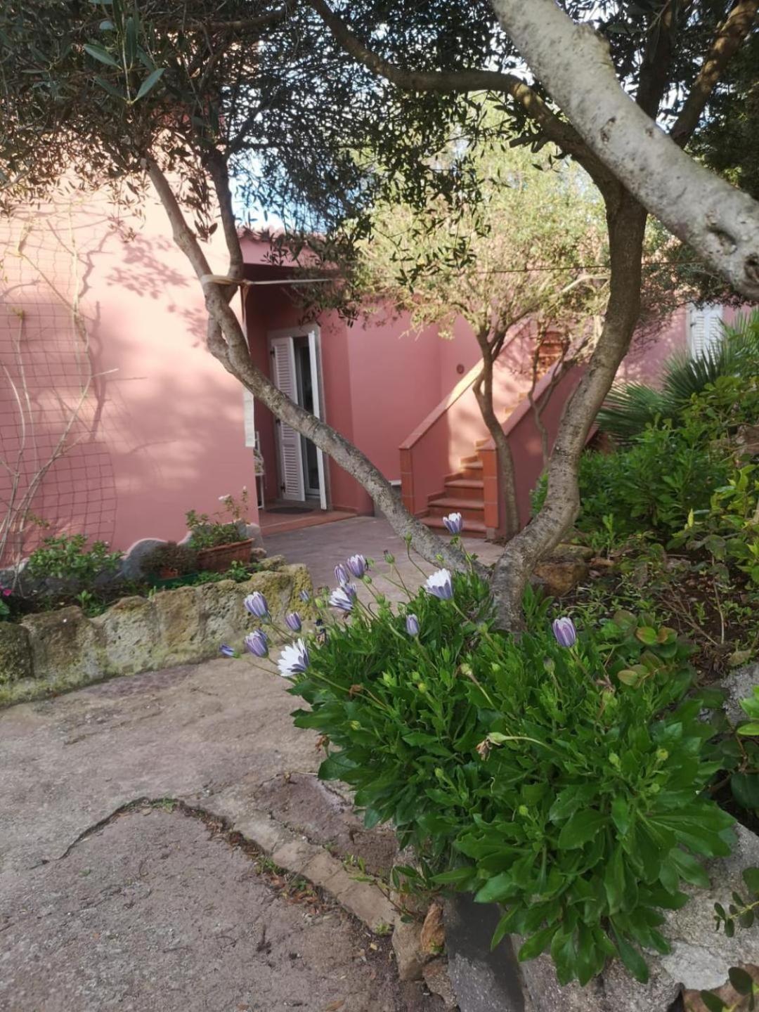 B&B Domus Oriens - Monolocale Indipendente In Villa 포르토스쿠소 외부 사진